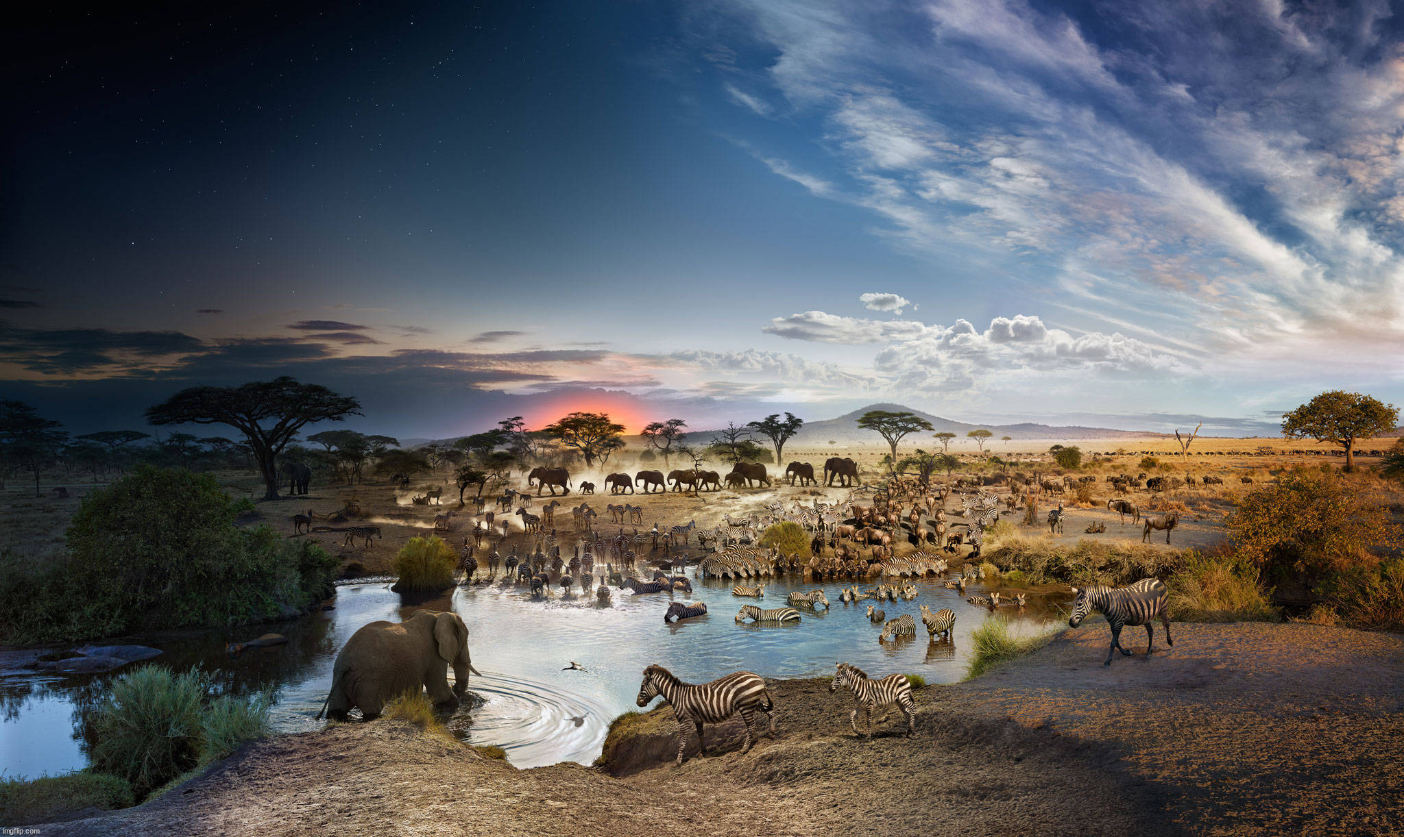 Down in Africa | image tagged in awesome | made w/ Imgflip meme maker