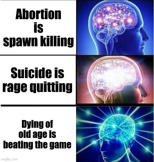 It's true | Abortion is spawn killing; Suicide is rage quitting; Dying of old age is beating the game | image tagged in expanding brain 3 panels,games truth | made w/ Imgflip meme maker