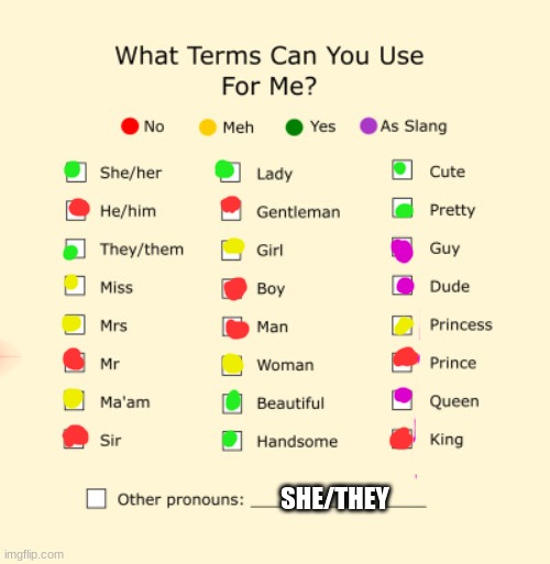 yep! | SHE/THEY | image tagged in pronouns sheet | made w/ Imgflip meme maker