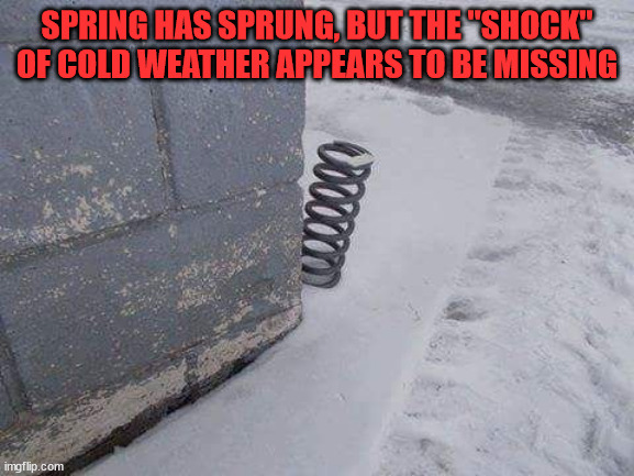SPRING HAS SPRUNG, BUT THE "SHOCK" OF COLD WEATHER APPEARS TO BE MISSING | image tagged in eye roll | made w/ Imgflip meme maker