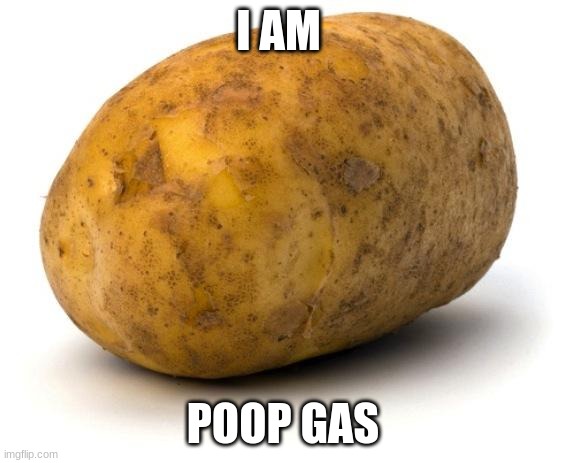 gas | I AM; POOP GAS | image tagged in i am a potato | made w/ Imgflip meme maker