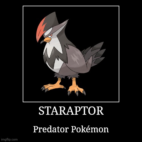 Staraptor | STARAPTOR | Predator Pokémon | image tagged in demotivationals,pokemon,staraptor | made w/ Imgflip demotivational maker