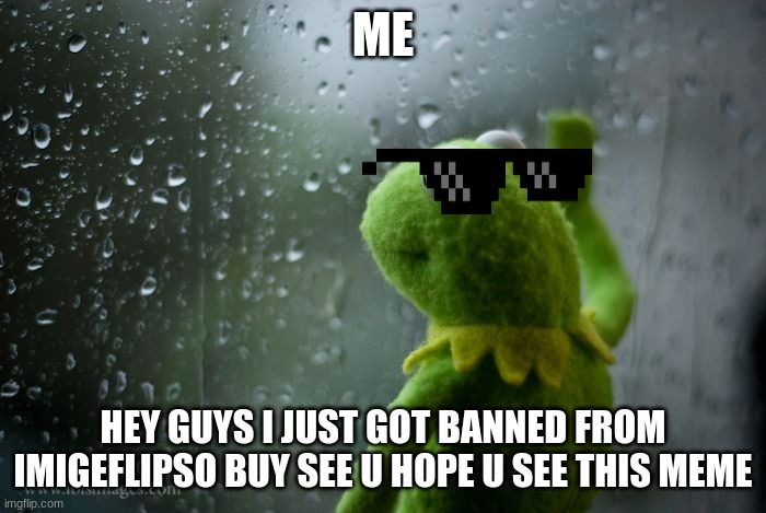 kermit window | ME; HEY GUYS I JUST GOT BANNED FROM IMIGEFLIPSO BUY SEE U HOPE U SEE THIS MEME | image tagged in kermit window | made w/ Imgflip meme maker