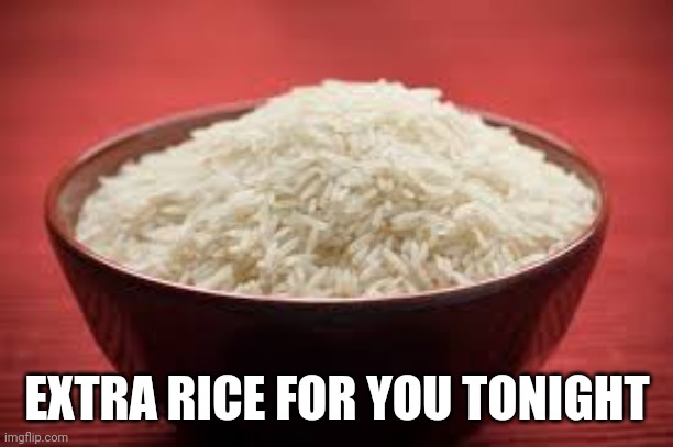 All this rice | EXTRA RICE FOR YOU TONIGHT | image tagged in all this rice | made w/ Imgflip meme maker