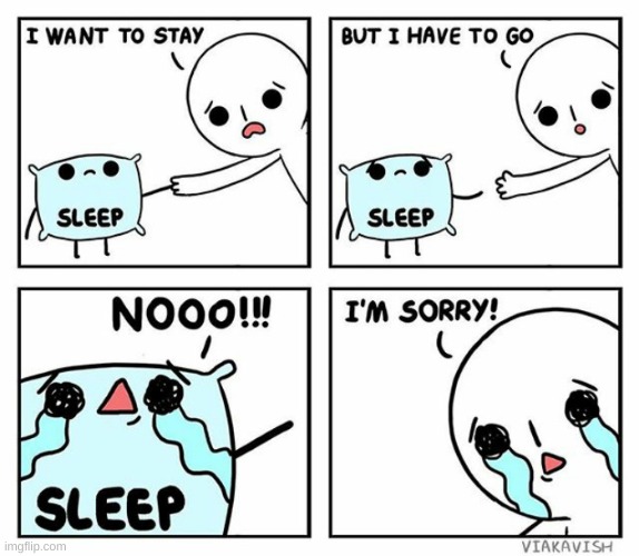 sleep | image tagged in comics/cartoons,sleep,i want to sleep | made w/ Imgflip meme maker