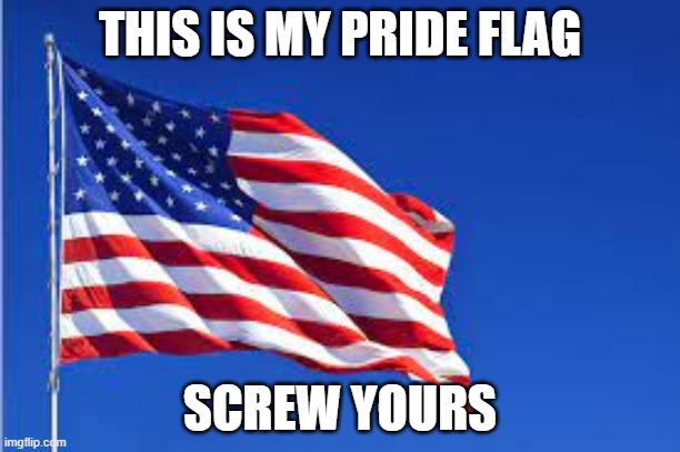 Murica | THIS IS MY PRIDE FLAG; SCREW YOURS | image tagged in america,the best flag ever,freedom in murica | made w/ Imgflip meme maker