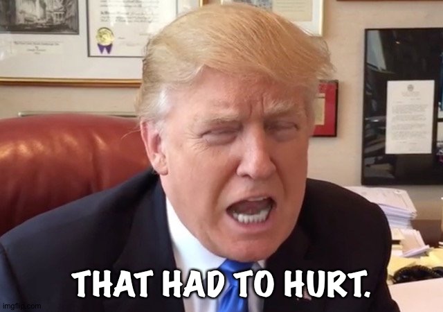 trump crying | THAT HAD TO HURT. | image tagged in trump crying | made w/ Imgflip meme maker