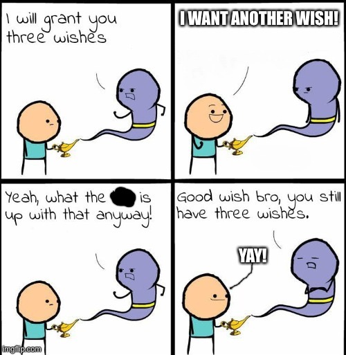 Lol | I WANT ANOTHER WISH! YAY! | image tagged in you still have 3 wishes | made w/ Imgflip meme maker