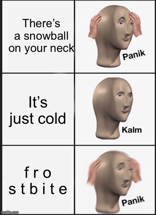 Panik Kalm Panik Meme | There’s a snowball on your neck; It’s just cold; f r o s t b i t e | image tagged in memes,panik kalm panik | made w/ Imgflip meme maker