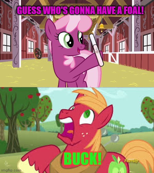 Ponyville bachelor problems | GUESS WHO'S GONNA HAVE A FOAL! BUCK! | image tagged in ponyville,big mac,cheerliee,pregnancy test,mlp | made w/ Imgflip meme maker
