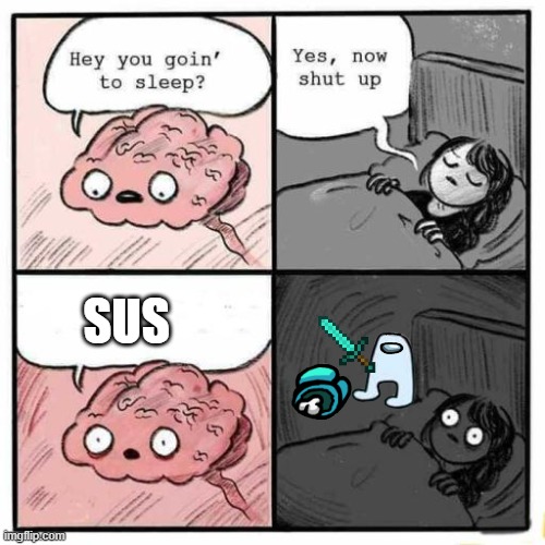 Hey you going to sleep? | SUS | image tagged in hey you going to sleep | made w/ Imgflip meme maker