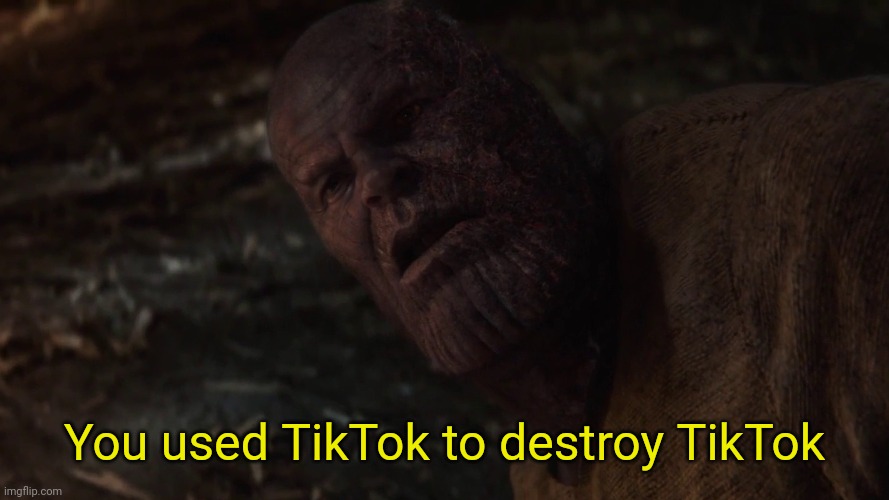 i used the stones to destroy the stones blank | You used TikTok to destroy TikTok | image tagged in i used the stones to destroy the stones blank | made w/ Imgflip meme maker