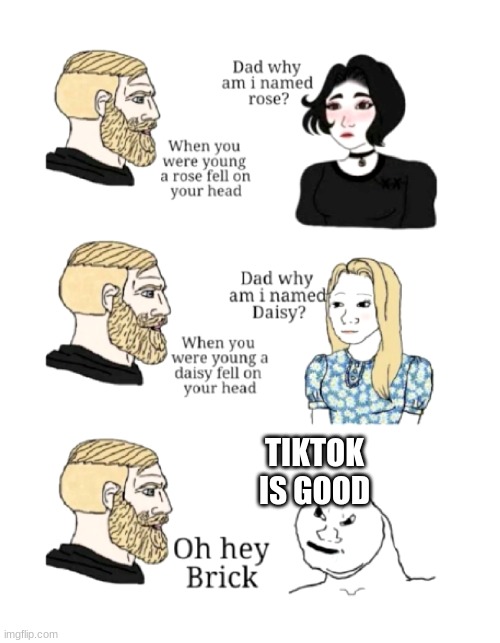 TIKTOK SUCKS | TIKTOK IS GOOD | image tagged in dad why am i named,tiktok sucks,oh wow are you actually reading these tags,never gonna give you up,lol | made w/ Imgflip meme maker