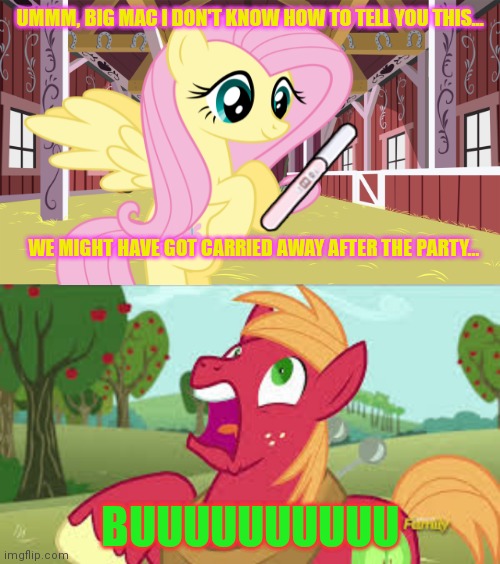 Ponyville bachelor problems | UMMM, BIG MAC I DON'T KNOW HOW TO TELL YOU THIS... WE MIGHT HAVE GOT CARRIED AWAY AFTER THE PARTY... BUUUUUUUUUU | image tagged in ponyville,big mac,pregnancy test,fluttershy,mlp | made w/ Imgflip meme maker