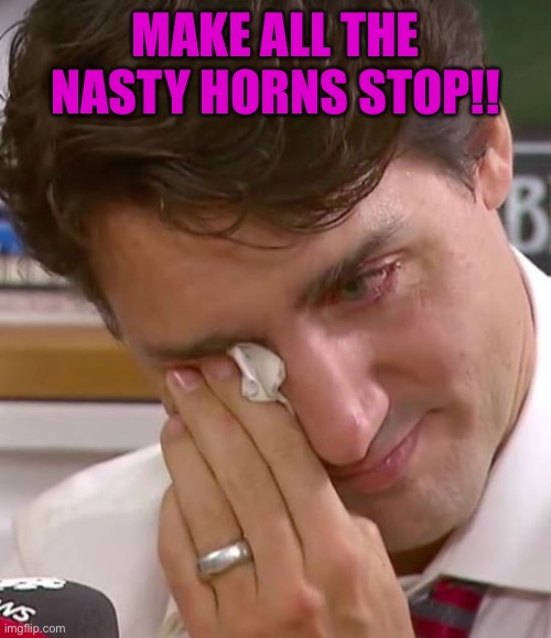 Justin Trudeau Crying | MAKE ALL THE NASTY HORNS STOP!! | image tagged in justin trudeau crying | made w/ Imgflip meme maker