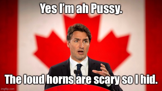 Justin Trudeau | Yes I’m ah Pussy. The loud horns are scary so I hid. | image tagged in justin trudeau | made w/ Imgflip meme maker