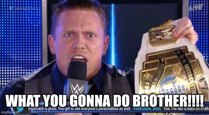 The Miz Implode | WHAT YOU GONNA DO BROTHER!!!! | image tagged in the miz explodes | made w/ Imgflip meme maker