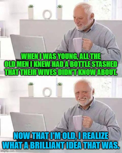 Carrying on the traditions of timeless wisdom.... | WHEN I WAS YOUNG, ALL THE OLD MEN I KNEW HAD A BOTTLE STASHED THAT THEIR WIVES DIDN'T KNOW ABOUT. NOW THAT I'M OLD, I REALIZE WHAT A BRILLIANT IDEA THAT WAS. | image tagged in memes,hide the pain harold | made w/ Imgflip meme maker