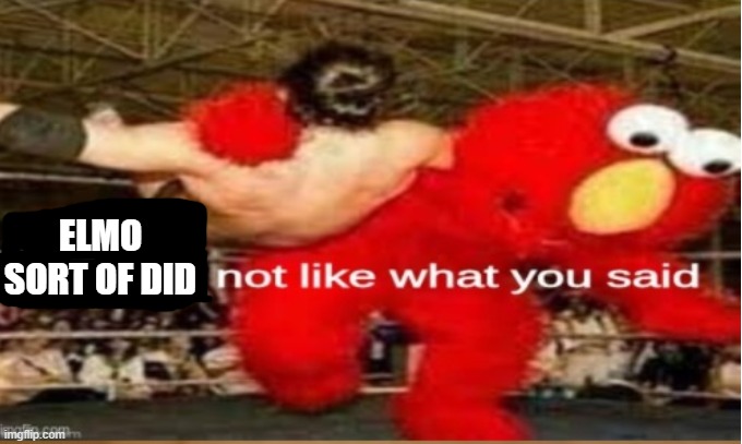 Elmo did not like what you said | ELMO SORT OF DID | image tagged in elmo did not like what you said | made w/ Imgflip meme maker