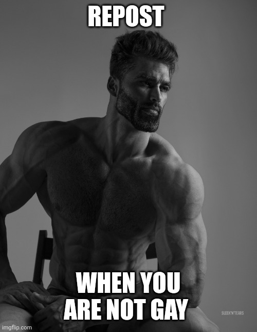 Giga Chad | REPOST; WHEN YOU ARE NOT GAY | image tagged in giga chad | made w/ Imgflip meme maker