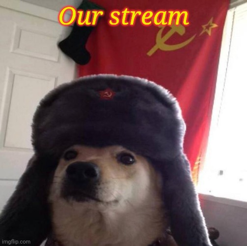 Russian Doge | Our stream | image tagged in russian doge | made w/ Imgflip meme maker