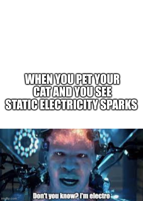 WHEN YOU PET YOUR CAT AND YOU SEE STATIC ELECTRICITY SPARKS | image tagged in caption box | made w/ Imgflip meme maker
