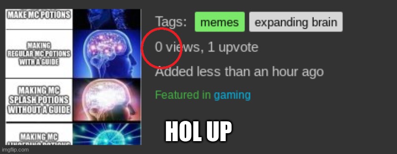 hol up | HOL UP | image tagged in memes | made w/ Imgflip meme maker