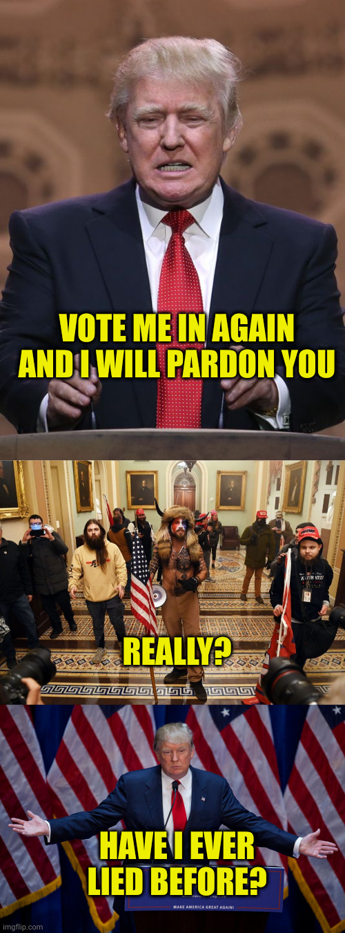 Fool them once, shame on you. Fool them repeatedly, they're probably republican voters | VOTE ME IN AGAIN AND I WILL PARDON YOU; REALLY? HAVE I EVER LIED BEFORE? | image tagged in donald trump,capitol buffalo guy | made w/ Imgflip meme maker