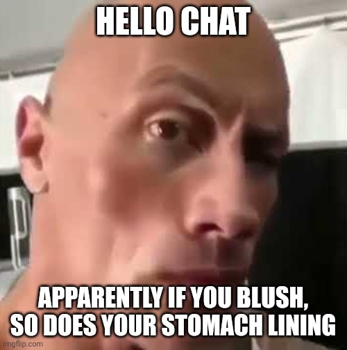 Ayo that’s kinda sus ngl | HELLO CHAT; APPARENTLY IF YOU BLUSH, SO DOES YOUR STOMACH LINING | image tagged in ayo that s kinda sus ngl | made w/ Imgflip meme maker