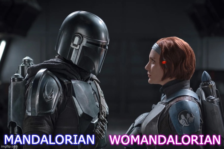 Womandalorian | MANDALORIAN; WOMANDALORIAN | image tagged in mandalorian,womandalorian,star wars,bo-katan,din djarin,this is the way | made w/ Imgflip meme maker