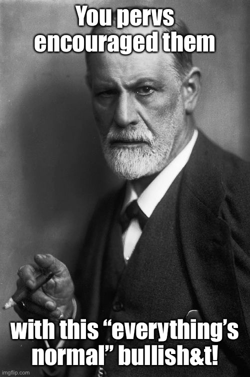 Sigmund Freud Meme | You pervs encouraged them with this “everything’s normal” bullish&t! | image tagged in memes,sigmund freud | made w/ Imgflip meme maker