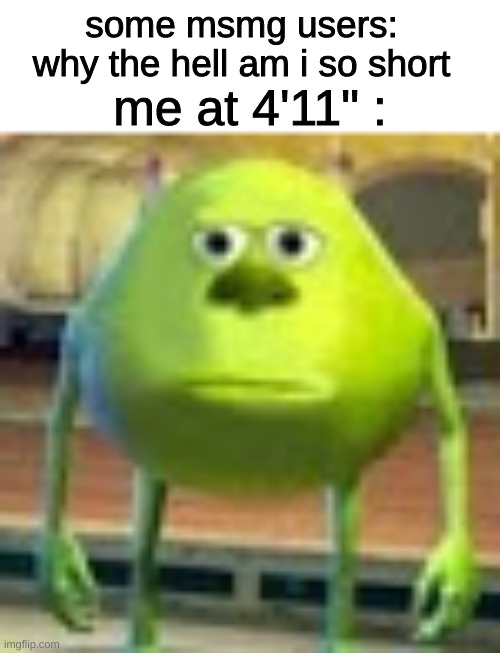 Sully Wazowski | some msmg users: why the hell am i so short; me at 4'11" : | image tagged in sully wazowski | made w/ Imgflip meme maker
