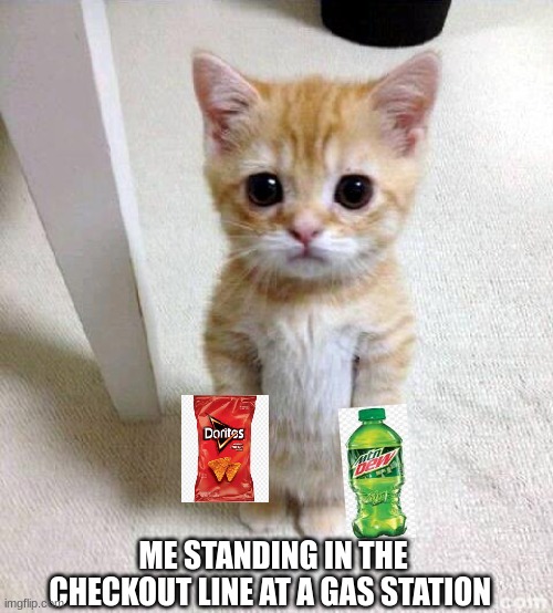 A true gamers combo | ME STANDING IN THE CHECKOUT LINE AT A GAS STATION | image tagged in memes,cute cat | made w/ Imgflip meme maker