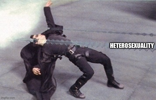 neo dodging a bullet matrix | HETEROSEXUALITY | image tagged in neo dodging a bullet matrix | made w/ Imgflip meme maker