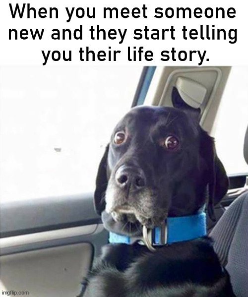 When you meet someone 
new and they start telling 
you their life story. | image tagged in meeting | made w/ Imgflip meme maker
