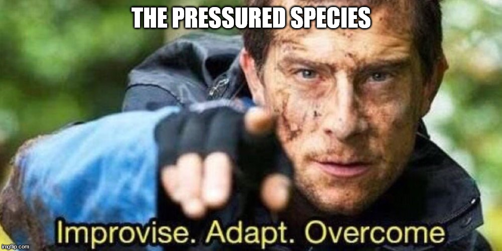 Improvise. Adapt. Overcome | THE PRESSURED SPECIES | image tagged in improvise adapt overcome | made w/ Imgflip meme maker