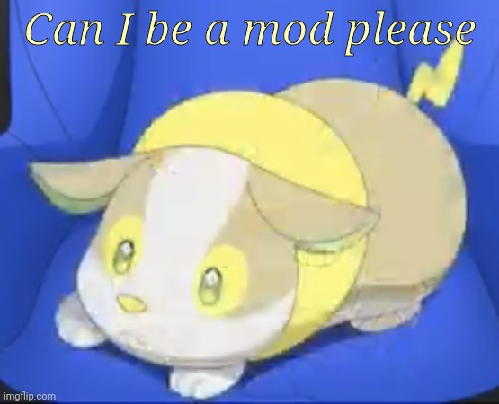 Yamper | Can I be a mod please | image tagged in sad yamper | made w/ Imgflip meme maker