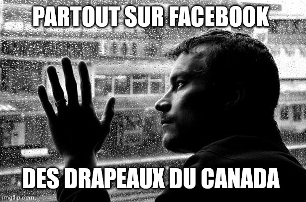 Over Educated Problems |  PARTOUT SUR FACEBOOK; DES DRAPEAUX DU CANADA | image tagged in memes,over educated problems | made w/ Imgflip meme maker