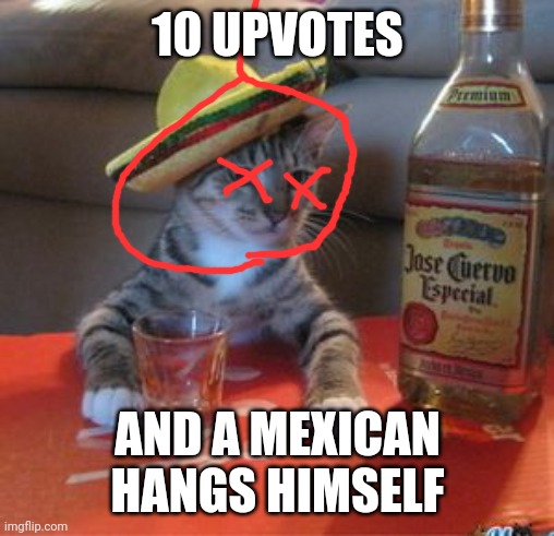 Mexican Cat | 10 UPVOTES; AND A MEXICAN HANGS HIMSELF | image tagged in mexican cat | made w/ Imgflip meme maker
