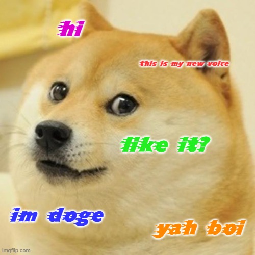 Doge's New Voice | hi; this is my new voice; like it? im doge; yah boi | image tagged in memes,doge | made w/ Imgflip meme maker