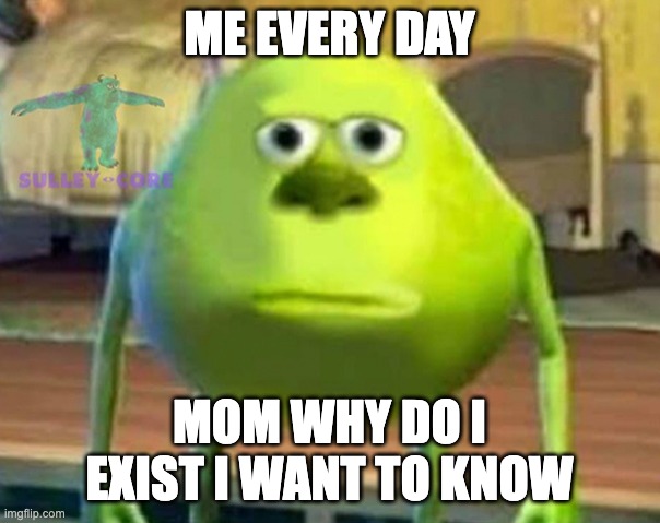 Monsters Inc | ME EVERY DAY MOM WHY DO I EXIST I WANT TO KNOW | image tagged in monsters inc | made w/ Imgflip meme maker