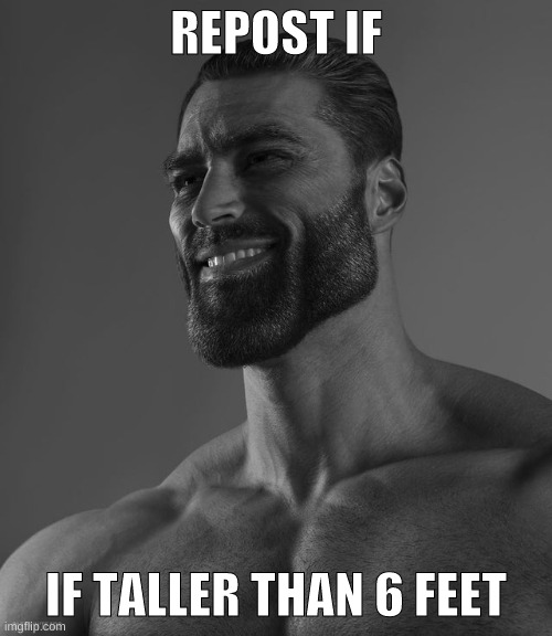 Giga Chad | REPOST IF; IF TALLER THAN 6 FEET | image tagged in giga chad | made w/ Imgflip meme maker