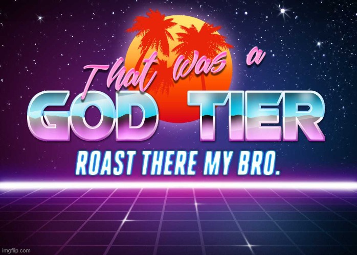 That was a god tier roast my bro. | image tagged in that was a god tier roast my bro | made w/ Imgflip meme maker