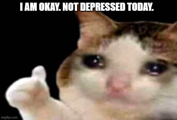 Sad cat thumbs up | I AM OKAY. NOT DEPRESSED TODAY. | image tagged in sad cat thumbs up | made w/ Imgflip meme maker