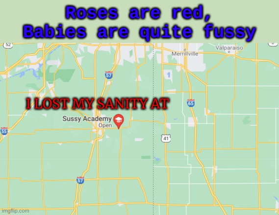 Help me | Roses are red,
Babies are quite fussy; I LOST MY SANITY AT | image tagged in google maps,memes,funny,amogus | made w/ Imgflip meme maker