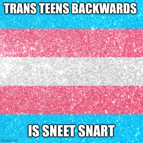 Sneetsnartsneetsnart | TRANS TEENS BACKWARDS; IS SNEET SNART | image tagged in trans rights | made w/ Imgflip meme maker