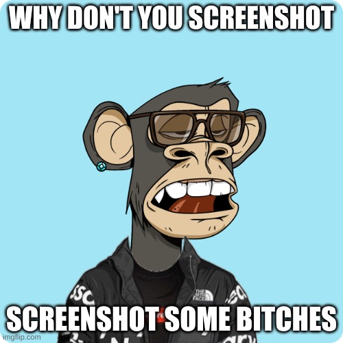 WHY DON'T YOU SCREENSHOT; SCREENSHOT SOME BITCHES | made w/ Imgflip meme maker