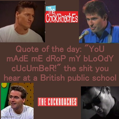 Cockies Temp! | Quote of the day: "YoU mAdE mE dRoP mY bLoOdY cUcUmBeR!" the shit you hear at a British public school | image tagged in cockies temp | made w/ Imgflip meme maker