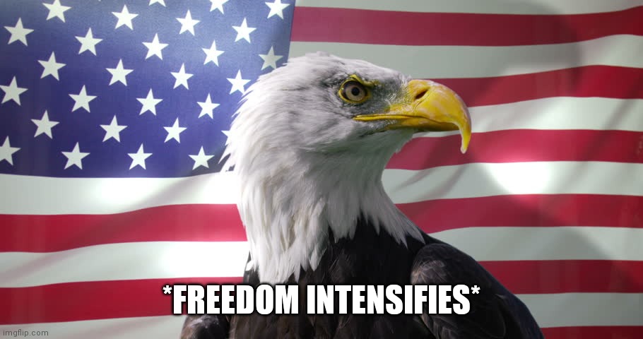 Bald Eagle with American Flag | *FREEDOM INTENSIFIES* | image tagged in bald eagle with american flag | made w/ Imgflip meme maker