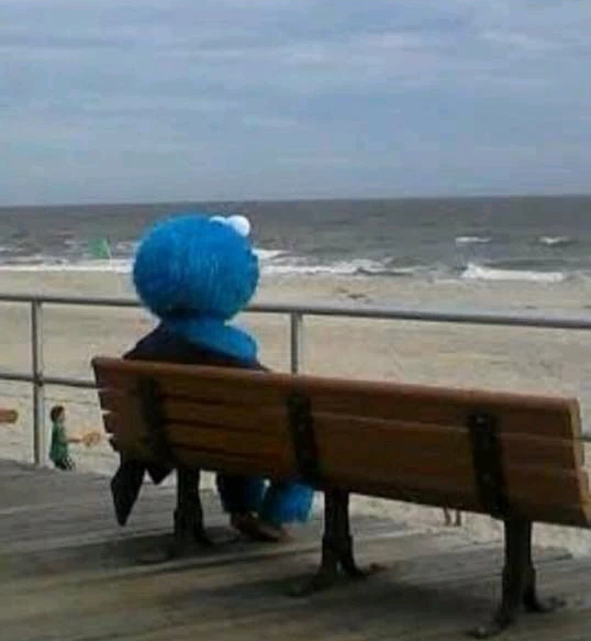 High Quality cookie monster beach bench Blank Meme Template